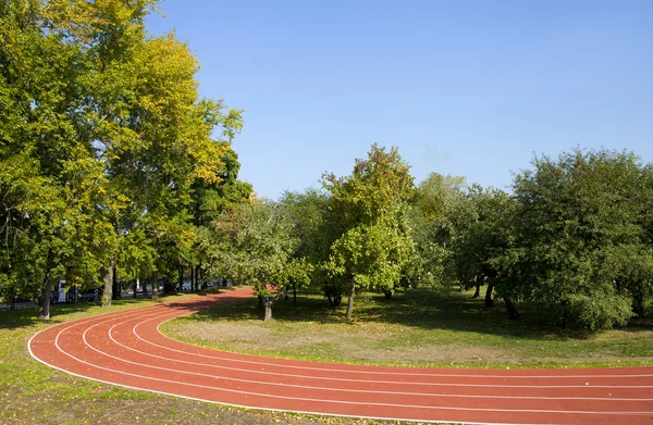 Порожня бігова доріжка в осінньому парку — стокове фото