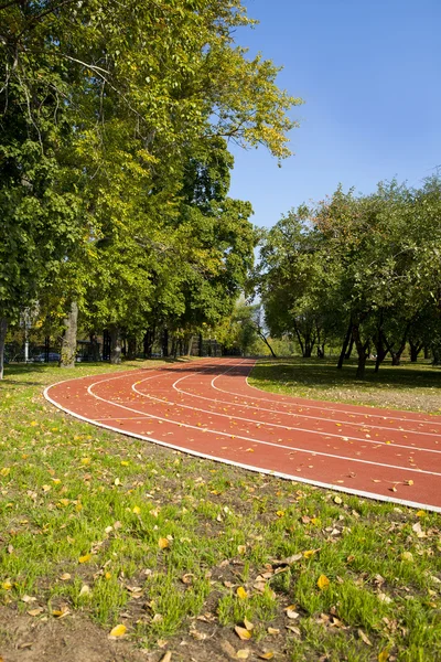 Empty treadmill in autumn park — Stock Photo, Image