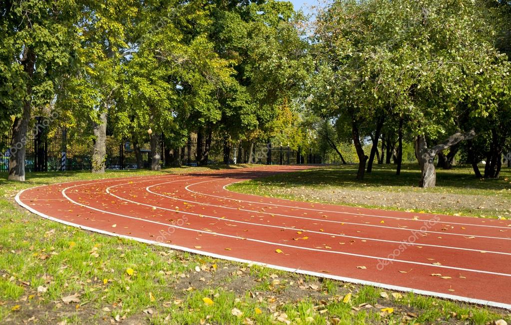 Дорожка в парке. Царицыно стадион беговой. Парк на улице гончарова. Лужники велодорожка. Беговая дорожка в парке.