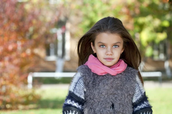 Beautifal liten flicka i parken hösten — Stockfoto