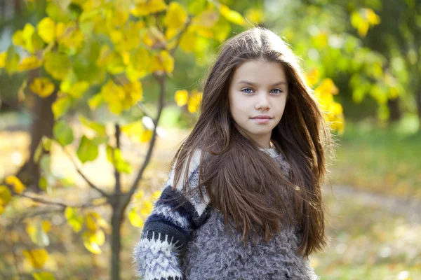 Beautifal kislány őszi parkban — Stock Fotó