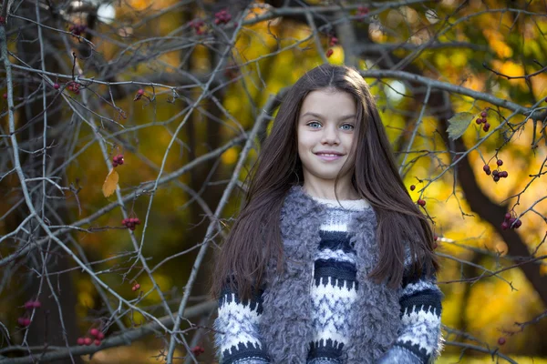 Hermosa niña en el parque de otoño — Foto de Stock