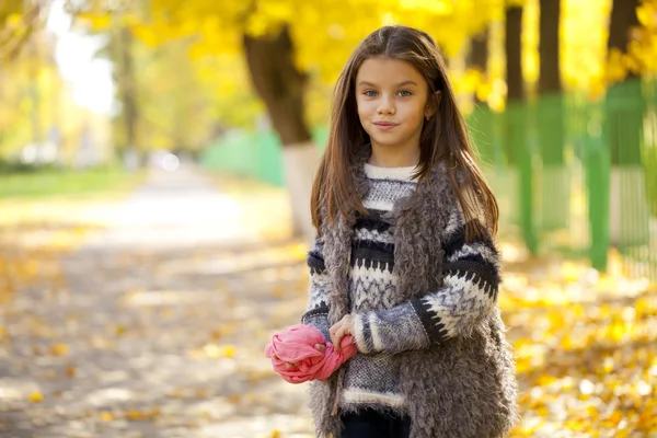 Beautifal liten flicka i parken hösten — Stockfoto