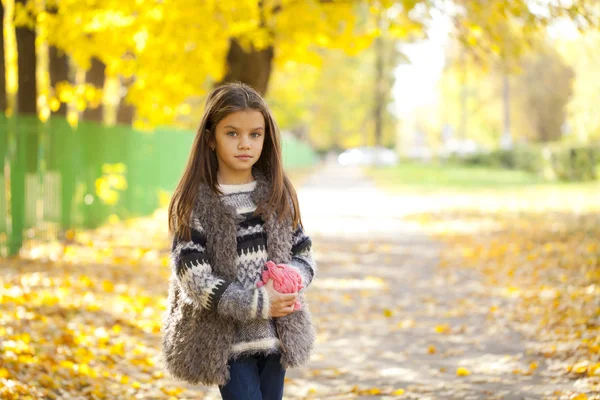 Beautifal liten flicka i parken hösten — Stockfoto