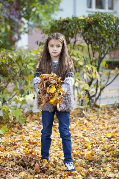 Giovane bella bambina con foglie gialle nel parco autunnale — Foto Stock