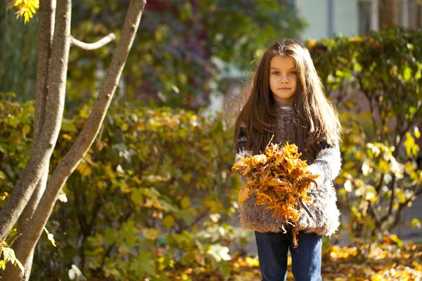 Joven niña hermosa con hojas amarillas en el parque de otoño — Foto de Stock