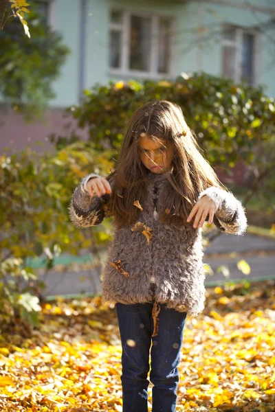 Joven niña hermosa con hojas amarillas en el parque de otoño —  Fotos de Stock