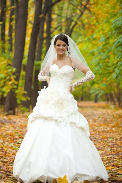 Retrato de una hermosa novia sonriente —  Fotos de Stock