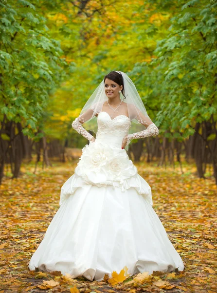 Portrait d'une belle mariée souriante — Photo