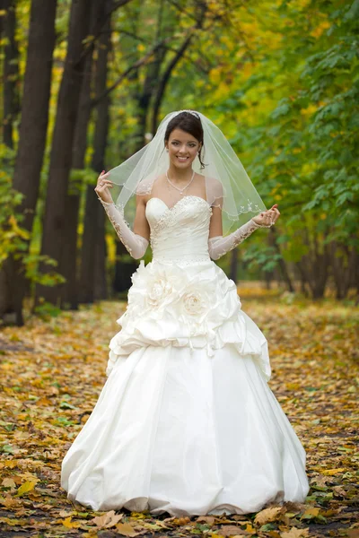 Retrato de una hermosa novia sonriente —  Fotos de Stock