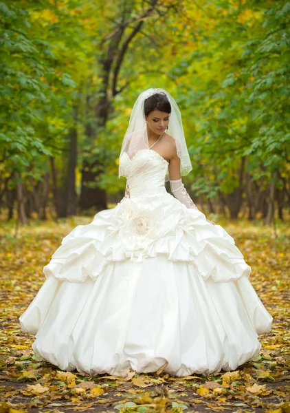 Ritratto di una bella sposa sorridente — Foto Stock