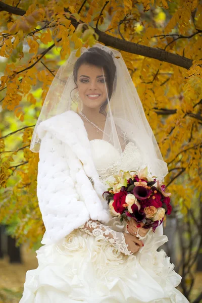 Retrato de una hermosa novia sonriente —  Fotos de Stock