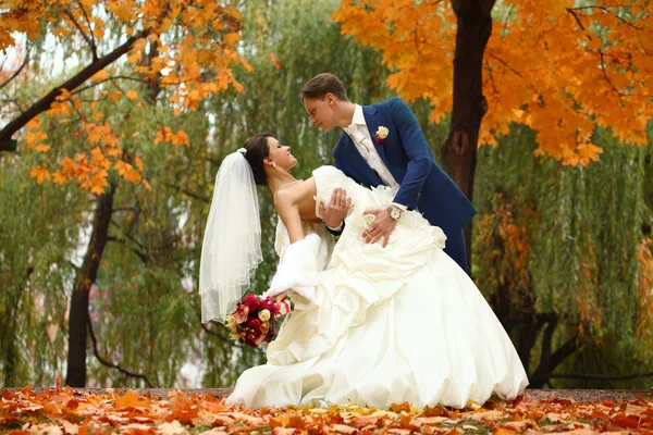 Bride and groom — Stock Photo, Image