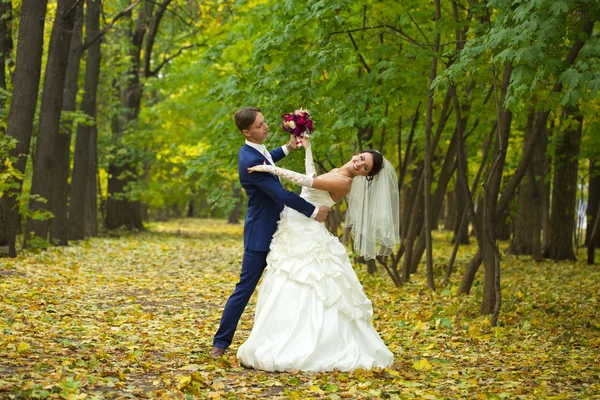 Novia y novio —  Fotos de Stock