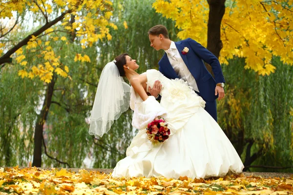 Bride and groom — Stock Photo, Image