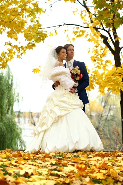 Bride and groom — Stock Photo, Image