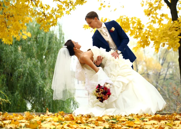 Bride and groom — Stock Photo, Image