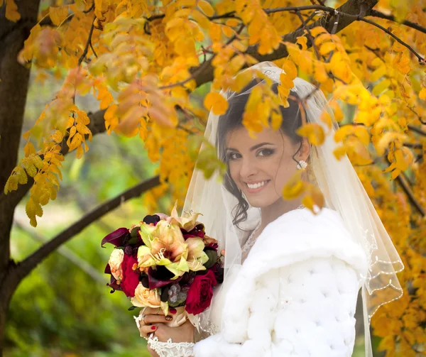 Ritratto di una bella sposa sorridente — Foto Stock