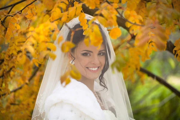 Retrato de una hermosa novia sonriente —  Fotos de Stock