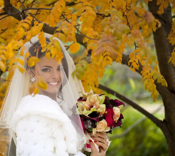 Retrato de una hermosa novia sonriente —  Fotos de Stock