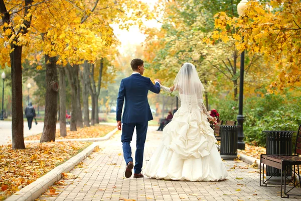 Novia y novio — Foto de Stock