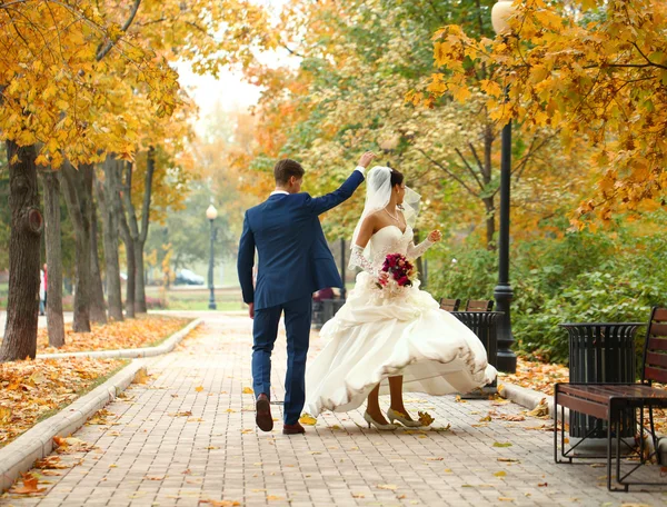 Bride and groom — Stock Photo, Image