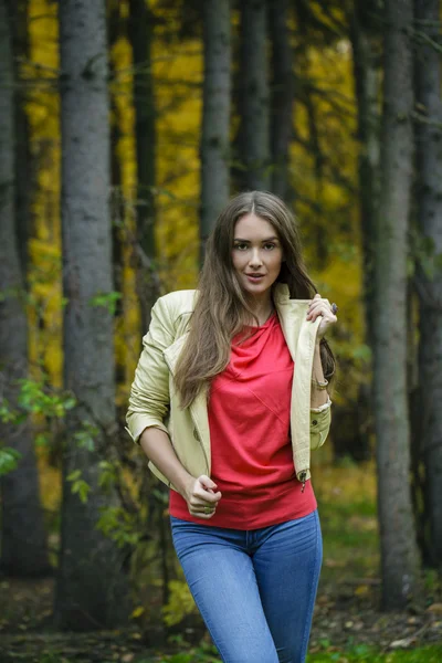 Young beautiful woman — Stock Photo, Image