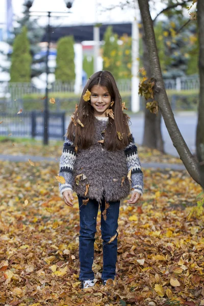 Giovane bella bambina con foglie gialle nel parco autunnale — Foto Stock