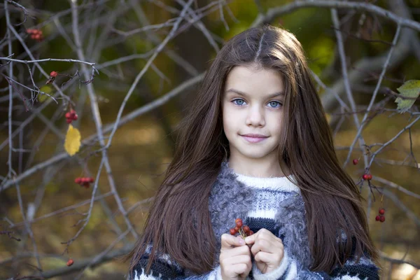 Beautifal little girl in the autumn park — Stock Photo, Image