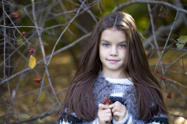 Bellissima bambina nel parco autunnale — Foto Stock