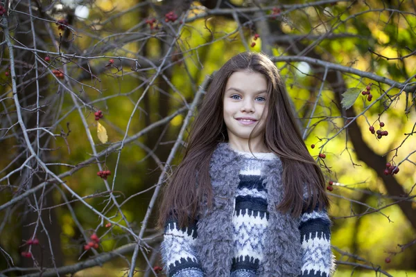 beautifal sonbahar parkta küçük kız 