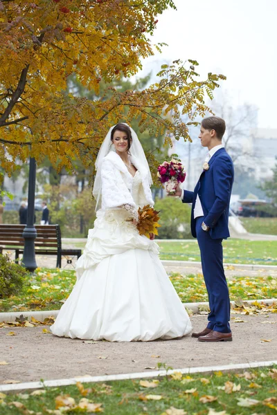 Novia y novio — Foto de Stock