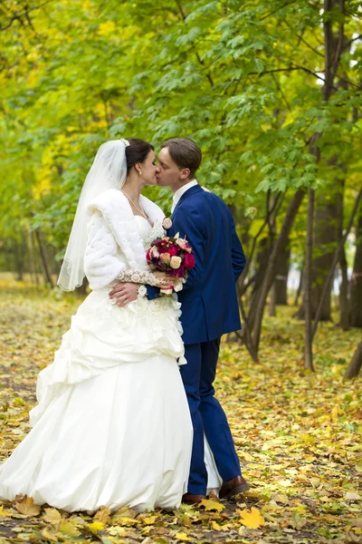 Novia y novio —  Fotos de Stock