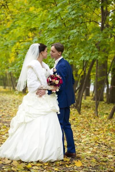 Novia y novio —  Fotos de Stock