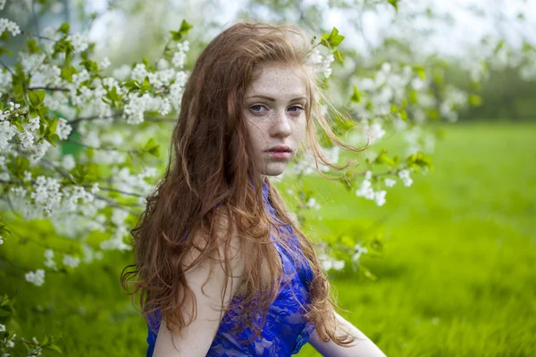 Romantische jonge vrouw portret — Stockfoto