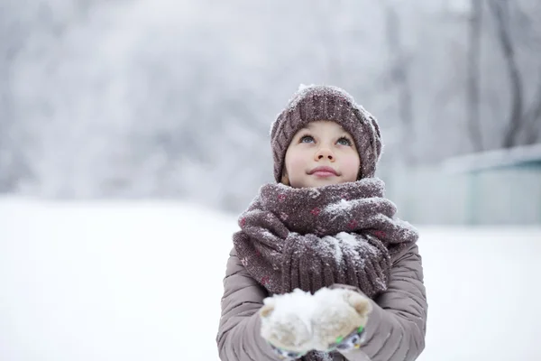 Porträt eines glücklichen kleinen Mädchens auf dem Hintergrund eines winterlichen pa — Stockfoto