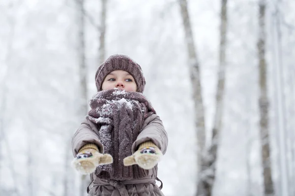 Happy little girl on the background of a winter park — Stock Photo, Image