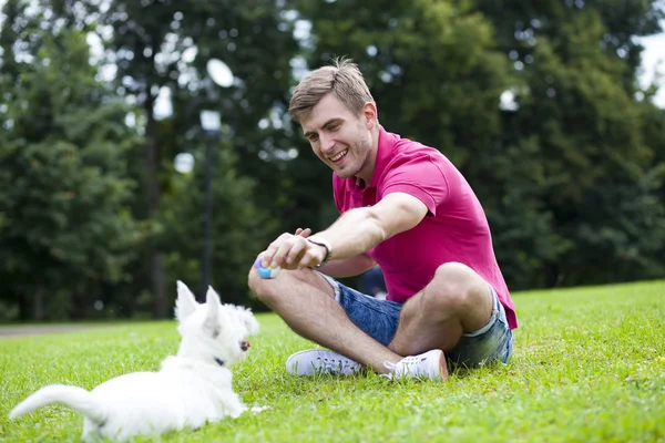 Młody człowiek bawiący się z psem w parku — Zdjęcie stockowe