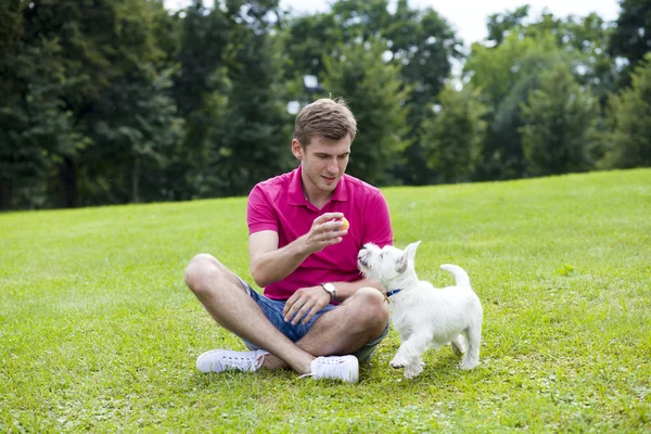 公園で犬と遊んでいる若者が — ストック写真