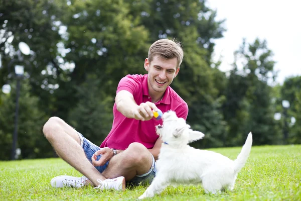 Молодой человек играл со своей собакой в парке — стоковое фото