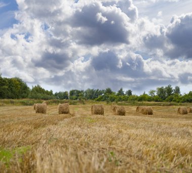 haystacks hasat sonra tahıl alanda 