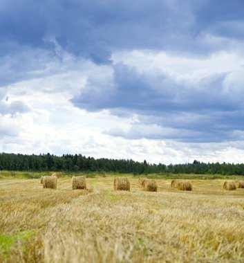 haystacks hasat sonra tahıl alanda 
