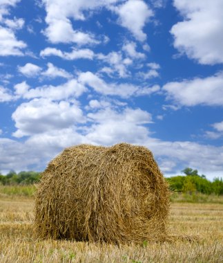 haystacks hasat sonra tahıl alanda 