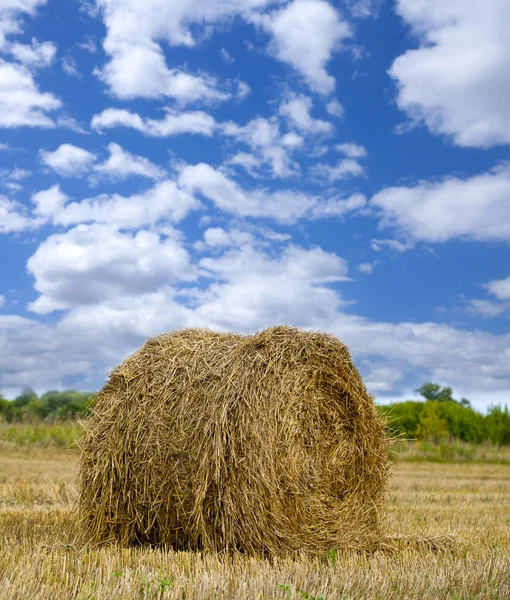 Haystacks on the grain field after harvesting — Stock Photo, Image