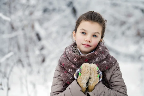 Lycklig liten flicka på bakgrund av en vinter park — Stockfoto