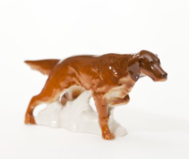 İrlandalı red setter