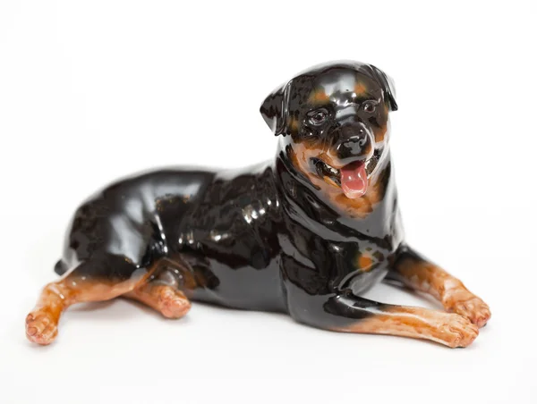 Zwarte rottweiler — Stockfoto