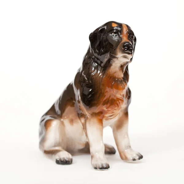 Bernese Mountain Dog, cão de montanha de Bernese — Fotografia de Stock