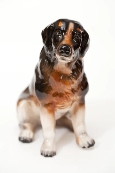 Berneński pies pasterski, pies Bydło Berneński górski — Zdjęcie stockowe