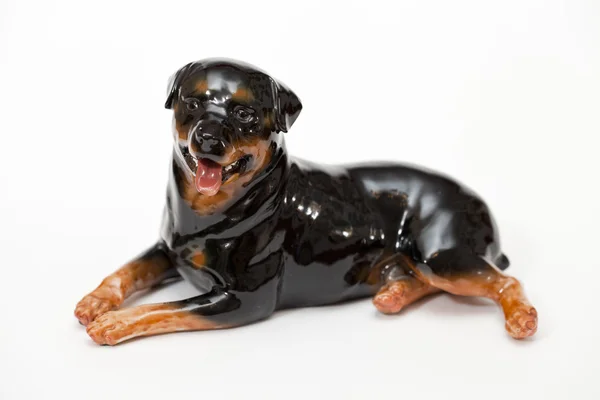 Zwarte rottweiler — Stockfoto